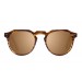 PAris demy brown polarized sunglasses side